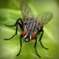 /album/plagaty-obrazy-na-mieru/photolia-a01-jpg/