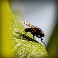 /album/plagaty-obrazy-na-mieru/photolia-a04-jpg/