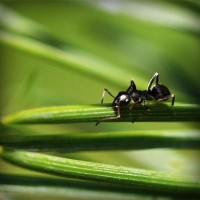 /album/plagaty-obrazy-na-mieru/photolia-a05-jpg/