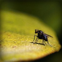 /album/plagaty-obrazy-na-mieru/photolia-a07-jpg/