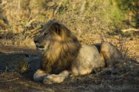 /album/plagaty-obrazy-na-mieru/imagesjzgujgzu-jpeg/